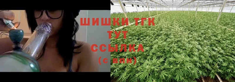 МАРИХУАНА OG Kush  Аша 